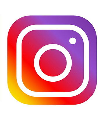 Linked Instagram icon