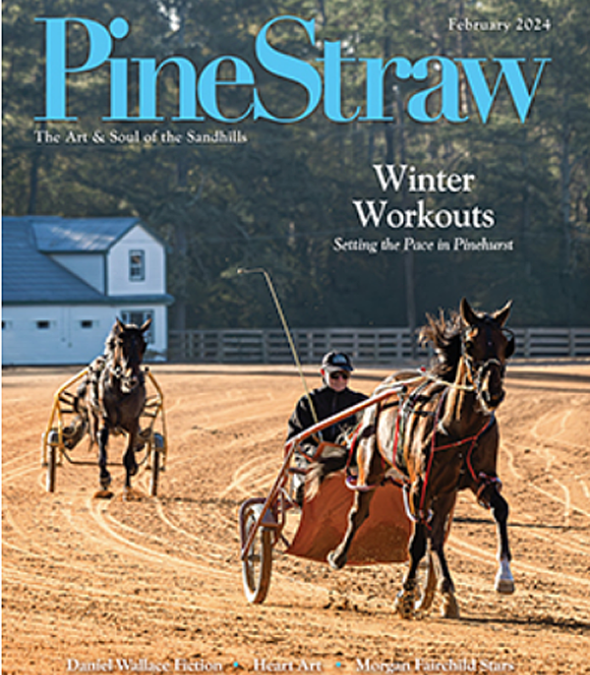 PineStraw Magazine features BUTTERFLIES ARE FREE